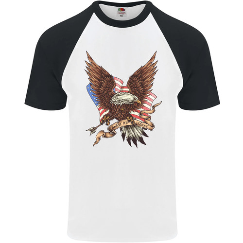 Usa aquila bandiera america - aquila,