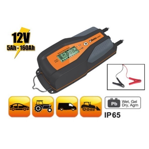Caricabatterie elettronico 12v - elettronico,