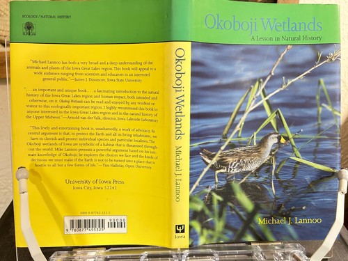 Okoboji wetlands lesson - lesson, in