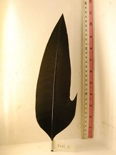 PENNA PER CAPPELLO ALPINO NERA CON RIMBECCO