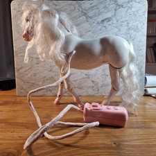 Zefiro il cavallo delle Stelle