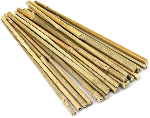 Tutori bambu paletti piante - tutori,