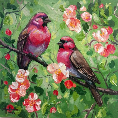 Coppia uccellini rosa - coppia,