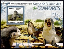 Comore 2009 Seal Sub Antarctic Pelliccia Foca Animali Marini Fauna Selvatica m/s MNH