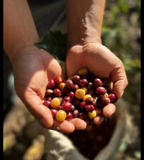 Colombia non tostata "Lychee