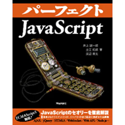 Perfect javascript book - javascript,