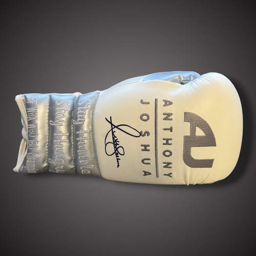 Guantone boxe anthony - guantone, da