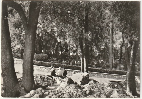 Tolfa roma parco - -,