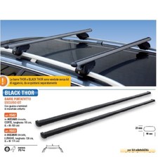 9502+9600 BARRE PORTATUTTO THOR CORTE PER AUTO CON B.LONGITUDINALI STACCATE 