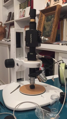Microscopio raman oem sonda - microscopio,