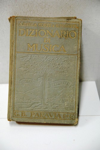 Dizionario musica ediz - dizionario, 2