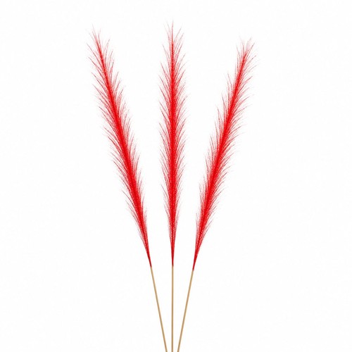 Decorazione erba pampa rossa