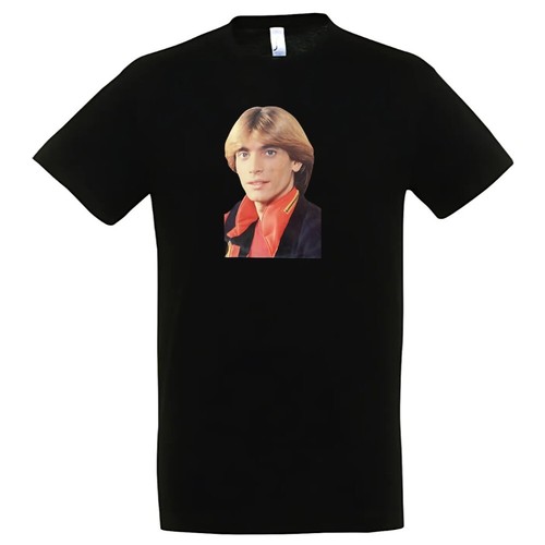 Shirt nino angelo 100 - nino, d'angelo