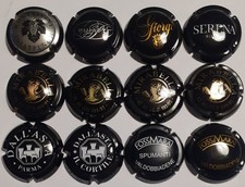 LOTTO DI n°12 CAPSULE SPUMANTE ITALIANE TUTTE DIVERSE come da foto allegata o