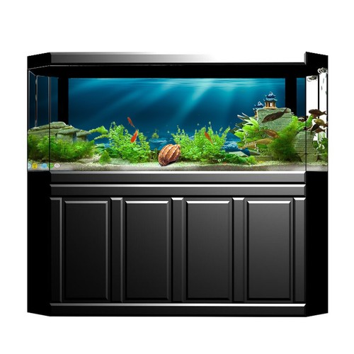 Acquario sfondo adesivo - acquario, 3d
