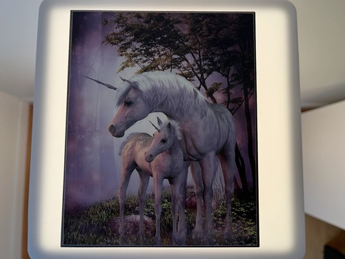 Portagioie legno unicorni - legno,