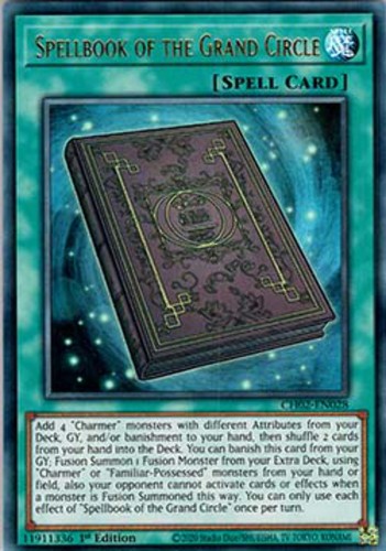 Libro degli incantesimi del - degli,