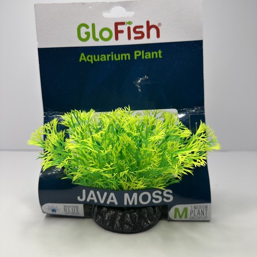 Glofish pianta acquario - glofish,