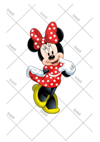 Cake topper commestibile