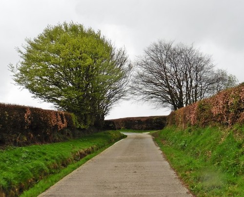 Photo 6x4 rifton lane - rifton, loxbeare