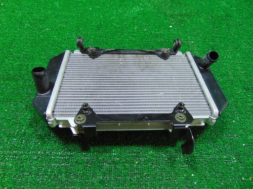 Radiatore acqua kymco 550 - radiatore, ak