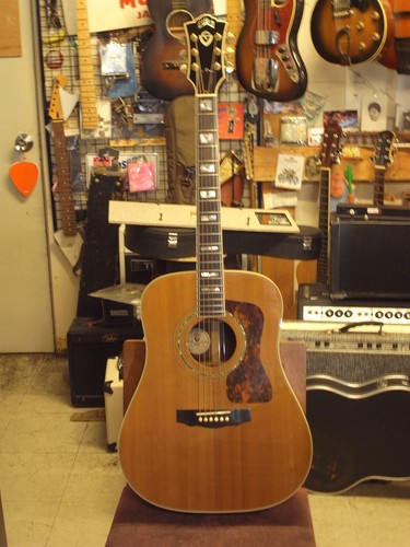 Guild chitarra acustica - d-55,