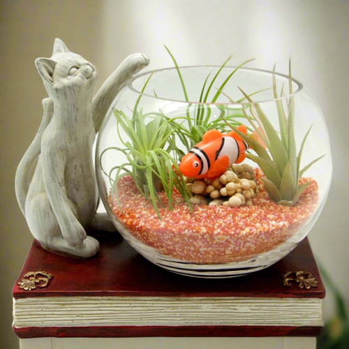 Ciotola pesce gatto vetro - gatto, e