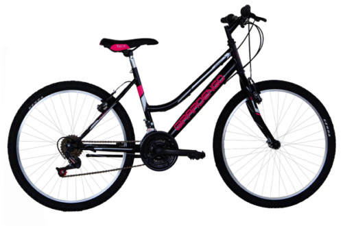 Bicicletta mountain bike - bicicletta, 24