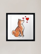 Quadro Shiba Inu love stampa
