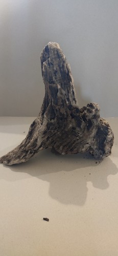 Legno per - legno,