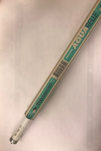 Neon philips aquarelle 36w - philips,