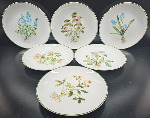 Set pezzi piatti insalata - pezzi,