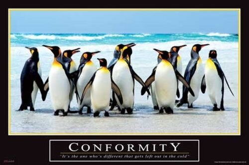 63495 come incontrato - come,