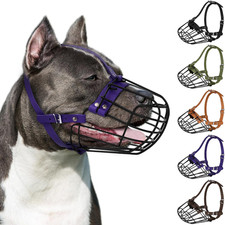 Pitbull museruola per - pitbull,