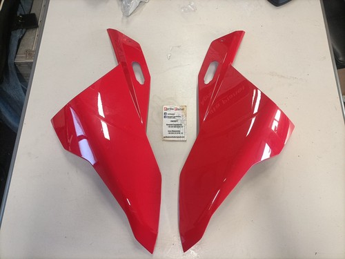 Musetto carene bmw - bmw, s