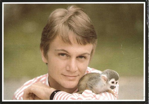 Claude françois - cp,