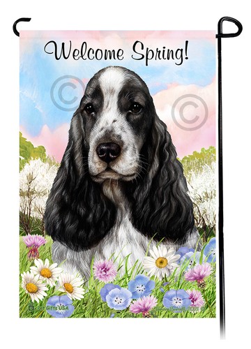 English cocker spaniel welcome - spaniel,