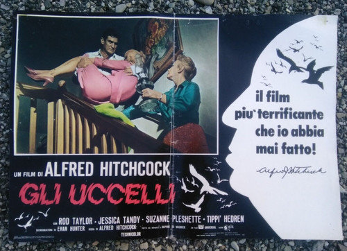 Fotobusta gli uccelli the - uccelli,