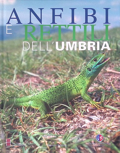 Anfibi rettili dell - anfibi,