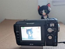 Videocamera MiniDV digitale