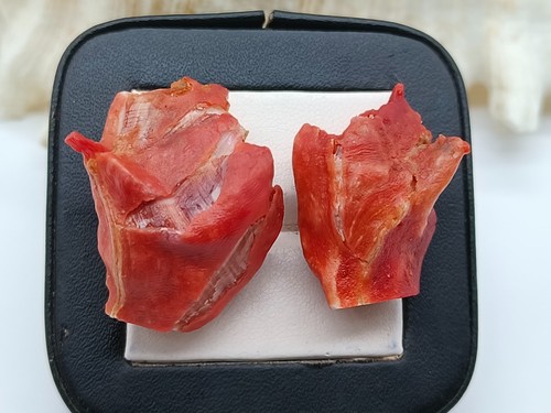 Lotto pezzi corallo rosso - 2,