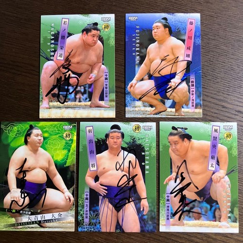 Sumo wrestlers set - sumo,