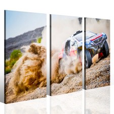 Stampa Su Tela - Rally Dakar