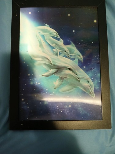 Raro quadro delfino - , 3d