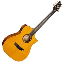 Chitarra acustica concerto