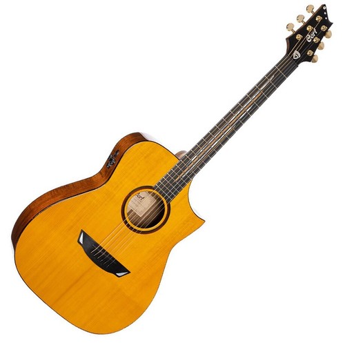 Chitarra acustica concerto