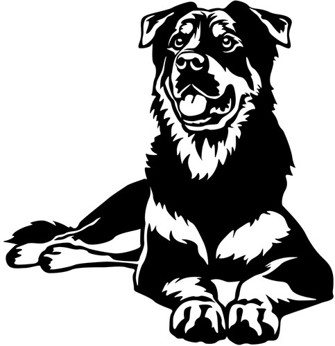 Adesivo beauceron berger de - adesivo,