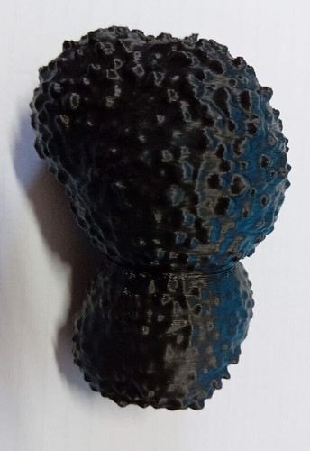 Tartufo addestramento cane - tartufo,