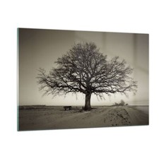 Quadro su Vetro 120x80cm Albero neve seppia Stampe Immagini Moderni Murale