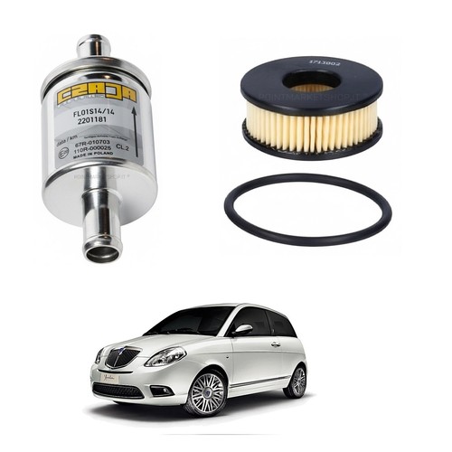 Tagliando gpl lancia yspilon - gpl,